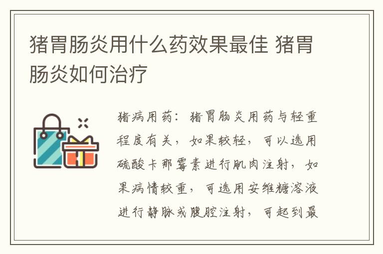 猪胃肠炎用什么药效果最佳 猪胃肠炎如何治疗