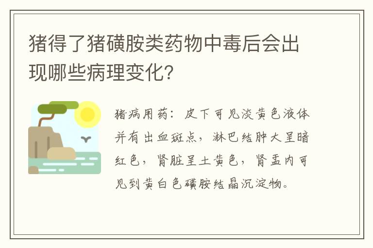 猪得了猪磺胺类药物中毒后会出现哪些病理变化？