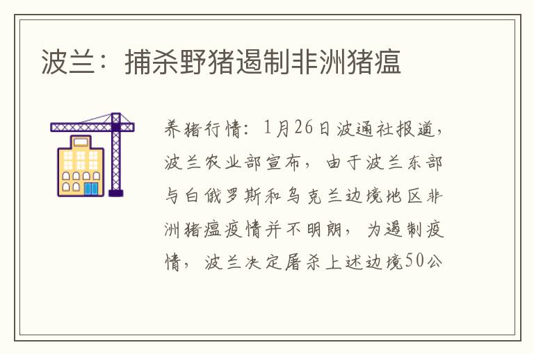波兰：捕杀野猪遏制非洲猪瘟