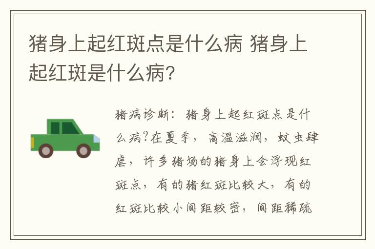 猪身上起红斑点是什么病 猪身上起红斑是什么病?