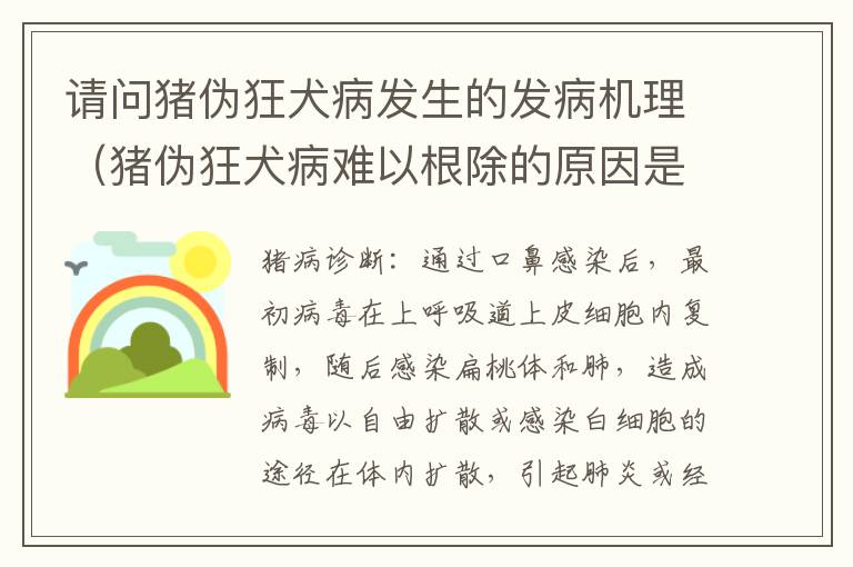 请问猪伪狂犬病发生的发病机理（猪伪狂犬病难以根除的原因是什么）