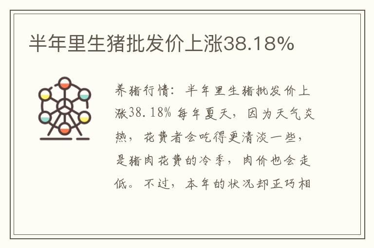 半年里生猪批发价上涨38.18%