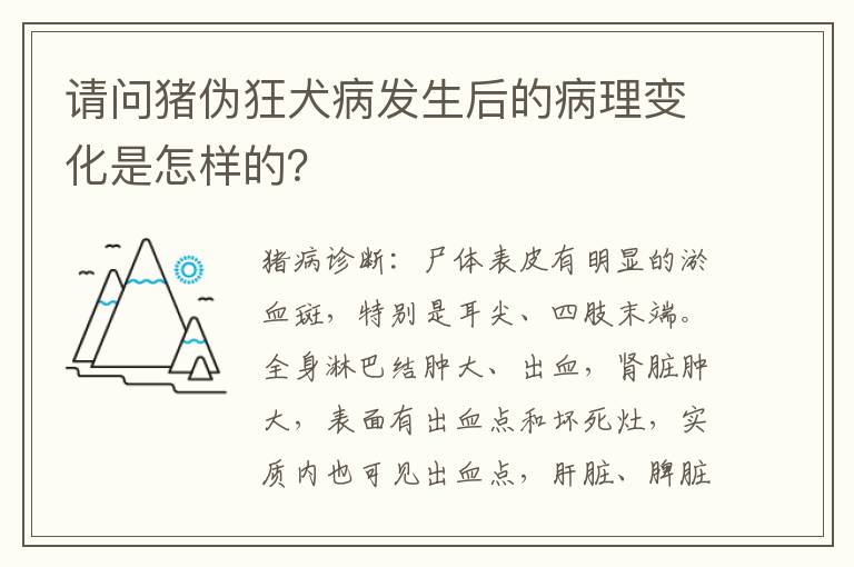 请问猪伪狂犬病发生后的病理变化是怎样的？