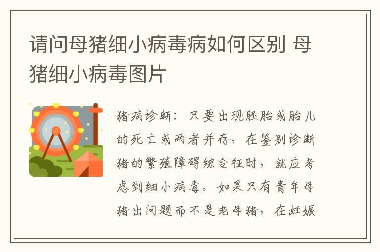 请问母猪细小病毒病如何区别 母猪细小病毒图片