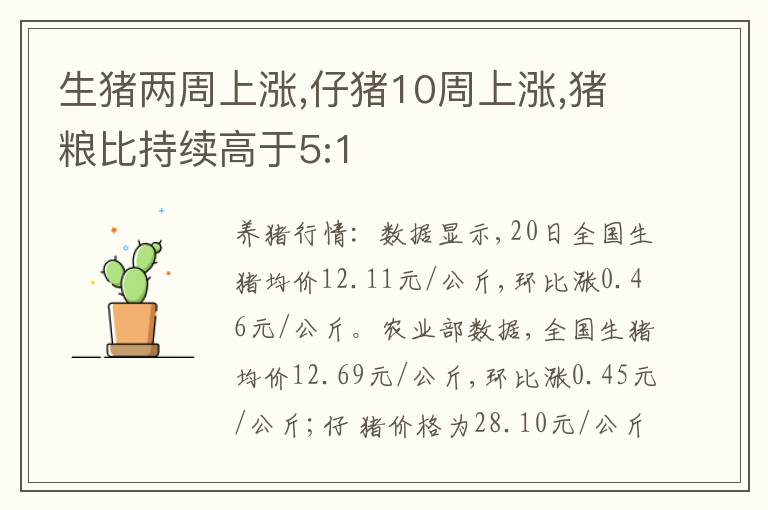 生猪两周上涨,仔猪10周上涨,猪粮比持续高于5:1