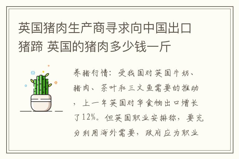 英国猪肉生产商寻求向中国出口猪蹄 英国的猪肉多少钱一斤