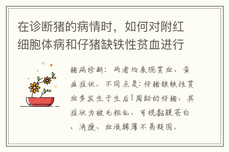 在诊断猪的病情时，如何对附红细胞体病和仔猪缺铁性贫血进行鉴别