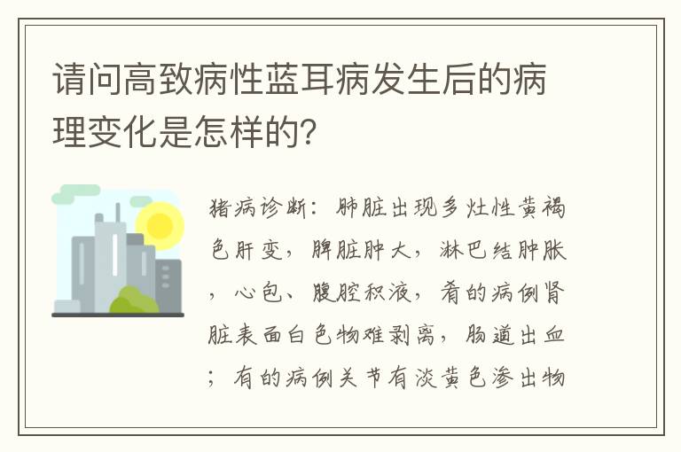 请问高致病性蓝耳病发生后的病理变化是怎样的？
