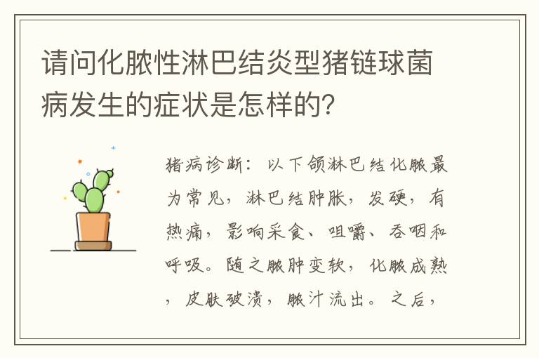请问化脓性淋巴结炎型猪链球菌病发生的症状是怎样的？