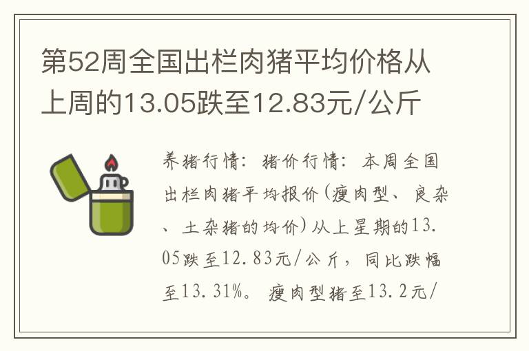 第52周全国出栏肉猪平均价格从上周的13.05跌至12.83元/公斤