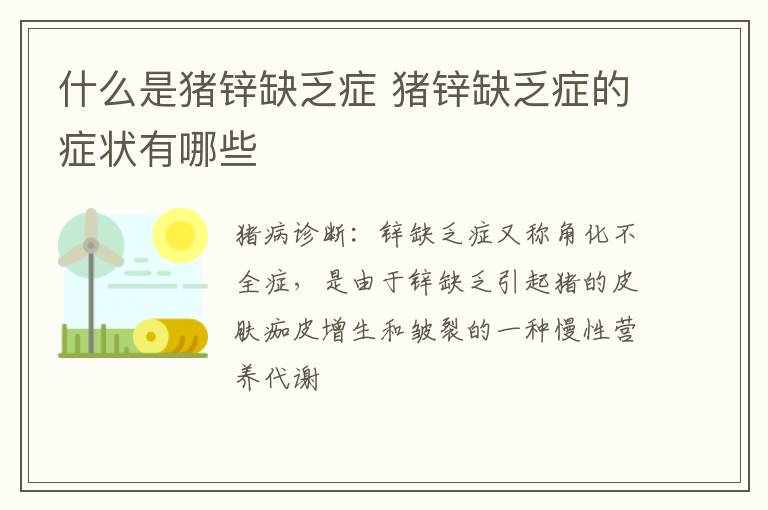 什么是猪锌缺乏症 猪锌缺乏症的症状有哪些