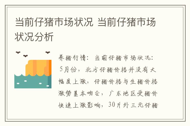 当前仔猪市场状况 当前仔猪市场状况分析