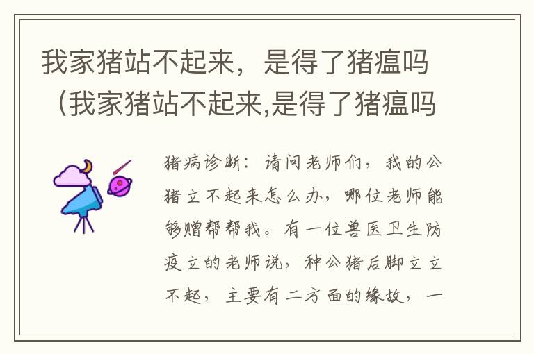 我家猪站不起来，是得了猪瘟吗（我家猪站不起来,是得了猪瘟吗）