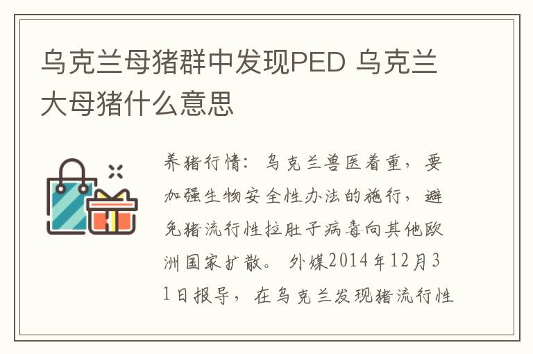乌克兰母猪群中发现PED 乌克兰大母猪什么意思
