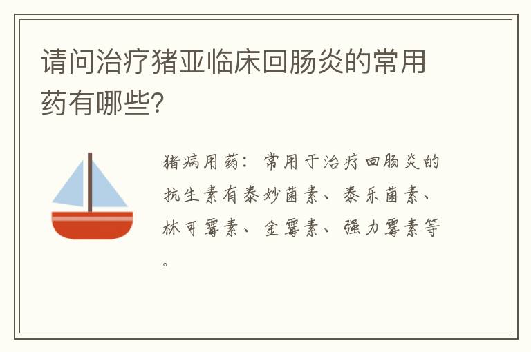 请问治疗猪亚临床回肠炎的常用药有哪些？
