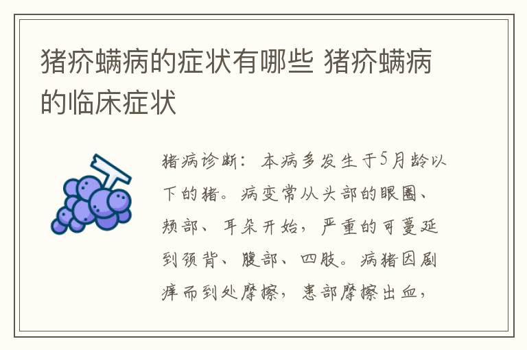 猪疥螨病的症状有哪些 猪疥螨病的临床症状
