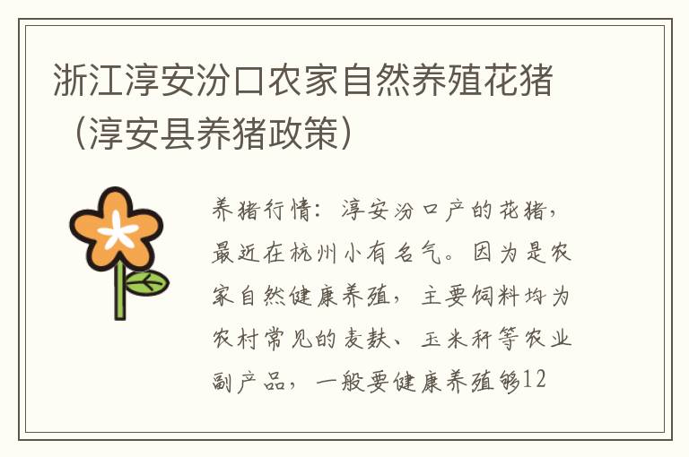 浙江淳安汾口农家自然养殖花猪（淳安县养猪政策）