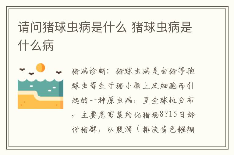 请问猪球虫病是什么 猪球虫病是什么病