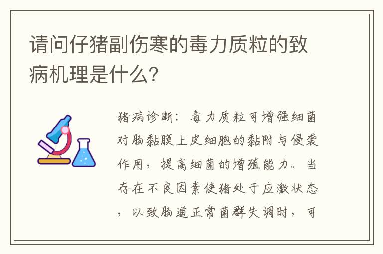 请问仔猪副伤寒的毒力质粒的致病机理是什么？