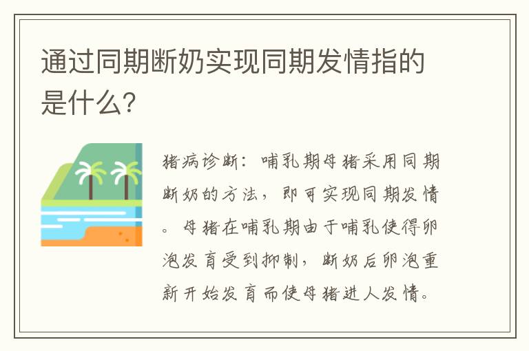 通过同期断奶实现同期发情指的是什么？