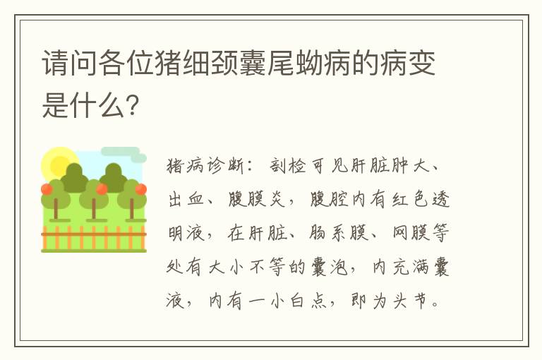 请问各位猪细颈囊尾蚴病的病变是什么？