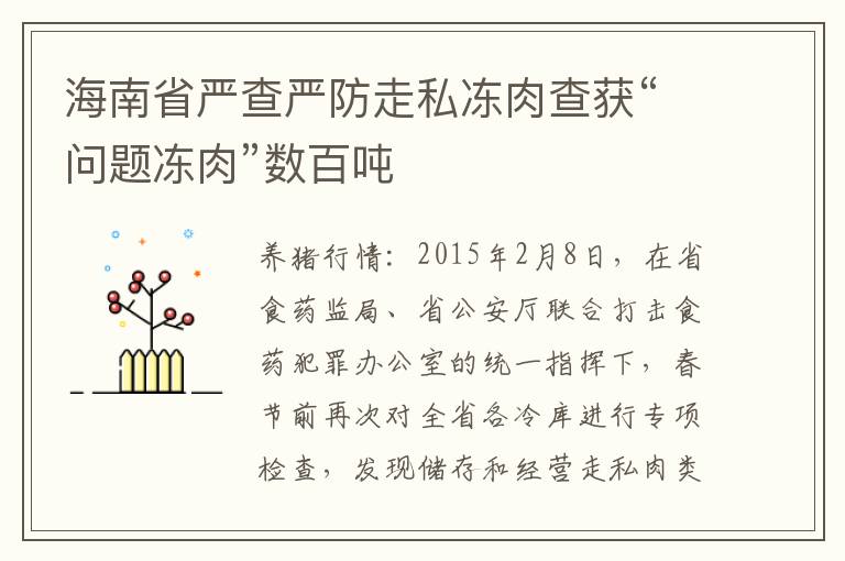 海南省严查严防走私冻肉查获“问题冻肉”数百吨