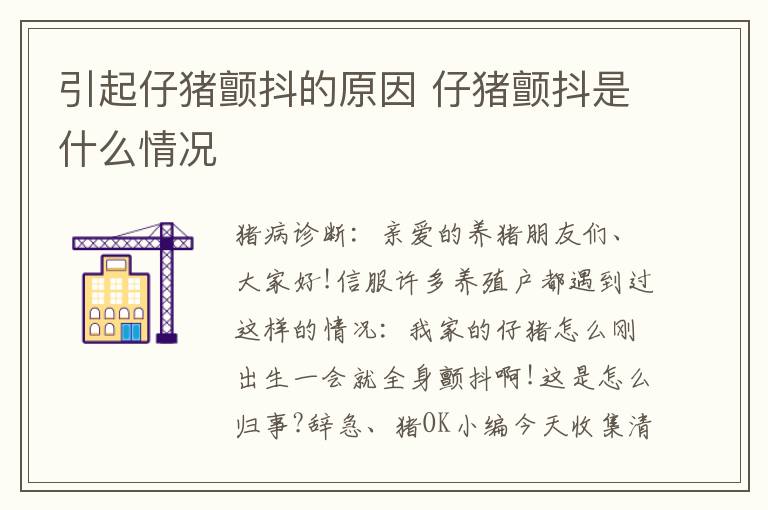 引起仔猪颤抖的原因 仔猪颤抖是什么情况
