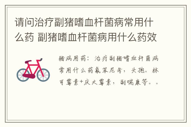 请问治疗副猪嗜血杆菌病常用什么药 副猪嗜血杆菌病用什么药效果最好