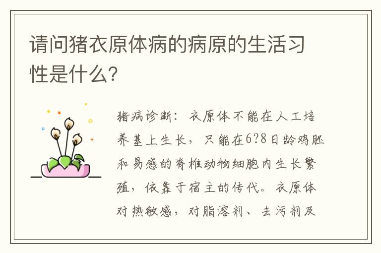 请问猪衣原体病的病原的生活习性是什么？