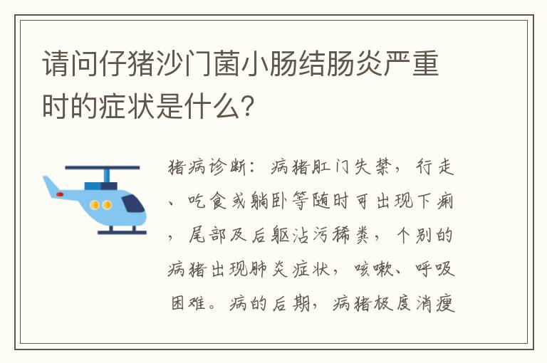 请问仔猪沙门菌小肠结肠炎严重时的症状是什么？