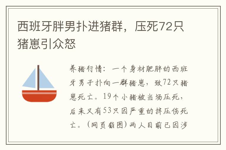 西班牙胖男扑进猪群，压死72只猪崽引众怒