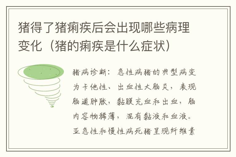 猪得了猪痢疾后会出现哪些病理变化（猪的痢疾是什么症状）