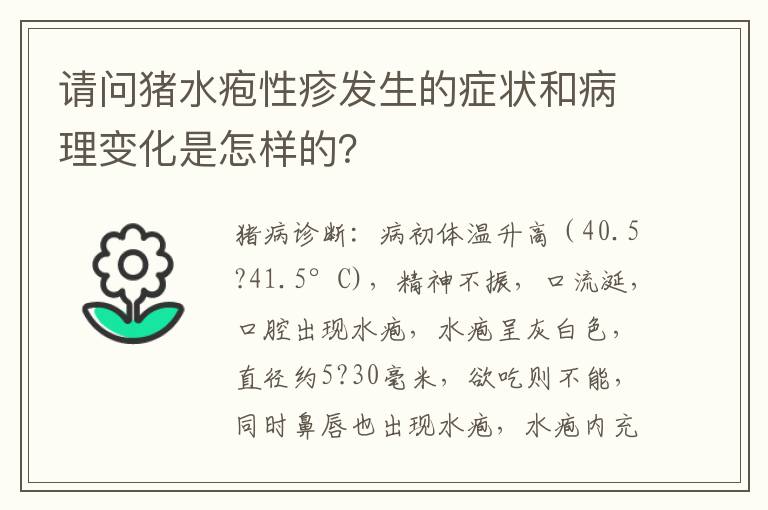 请问猪水疱性疹发生的症状和病理变化是怎样的？