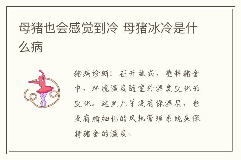 母猪也会感觉到冷 母猪冰冷是什么病