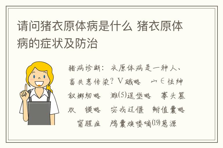 请问猪衣原体病是什么 猪衣原体病的症状及防治