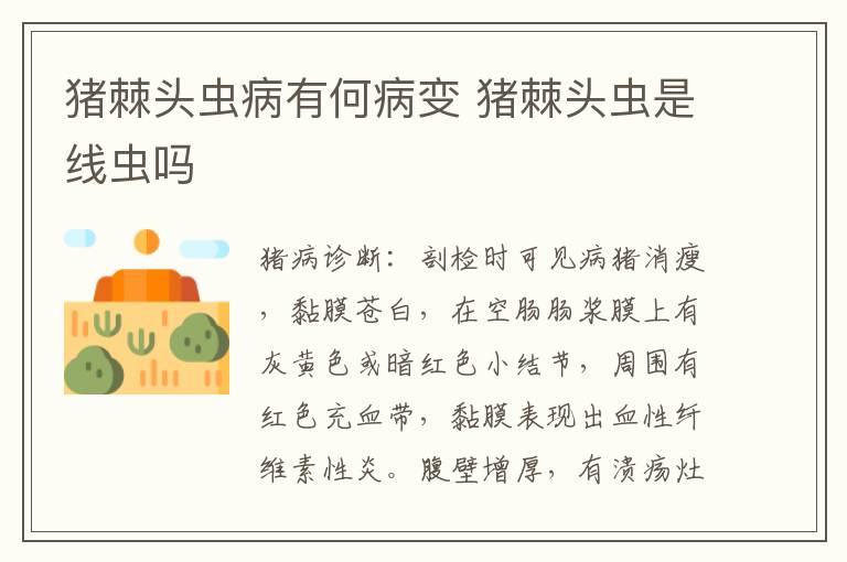 猪棘头虫病有何病变 猪棘头虫是线虫吗