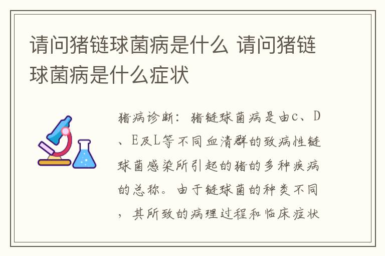 请问猪链球菌病是什么 请问猪链球菌病是什么症状