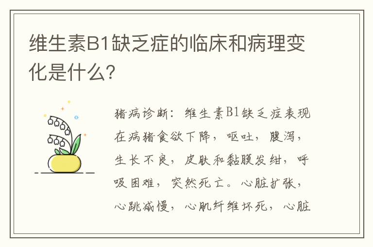维生素B1缺乏症的临床和病理变化是什么？