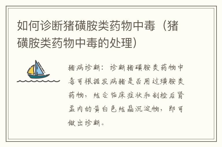 如何诊断猪磺胺类药物中毒（猪磺胺类药物中毒的处理）