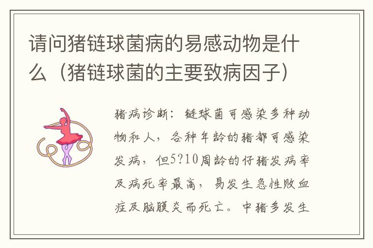 请问猪链球菌病的易感动物是什么（猪链球菌的主要致病因子）