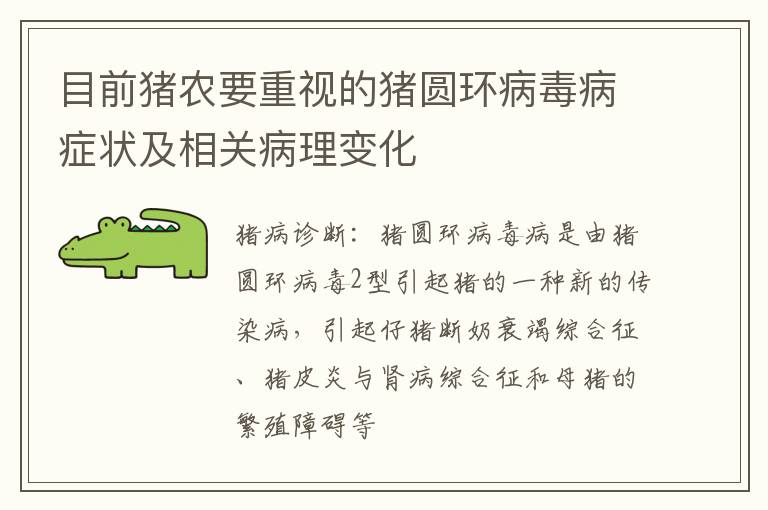 目前猪农要重视的猪圆环病毒病症状及相关病理变化