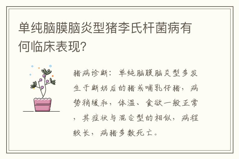 单纯脑膜脑炎型猪李氏杆菌病有何临床表现？