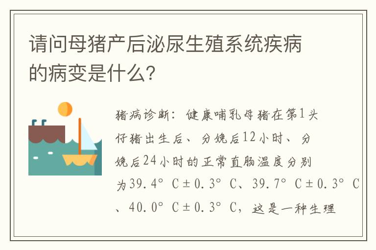 请问母猪产后泌尿生殖系统疾病的病变是什么？