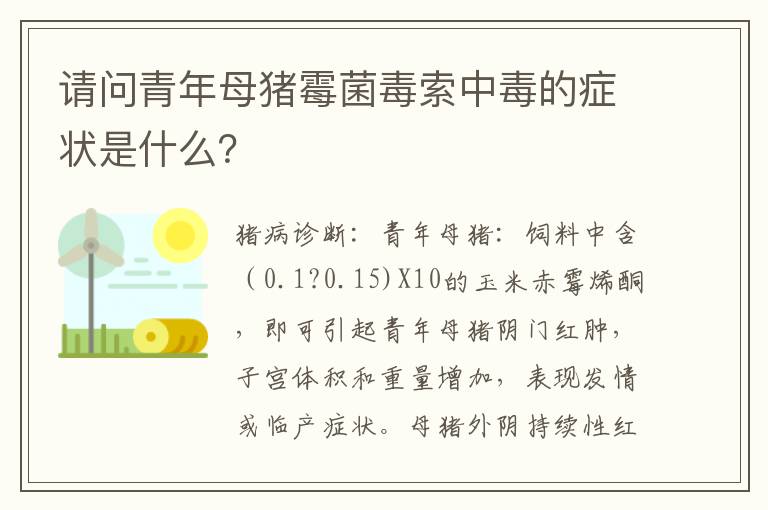 请问青年母猪霉菌毒索中毒的症状是什么？