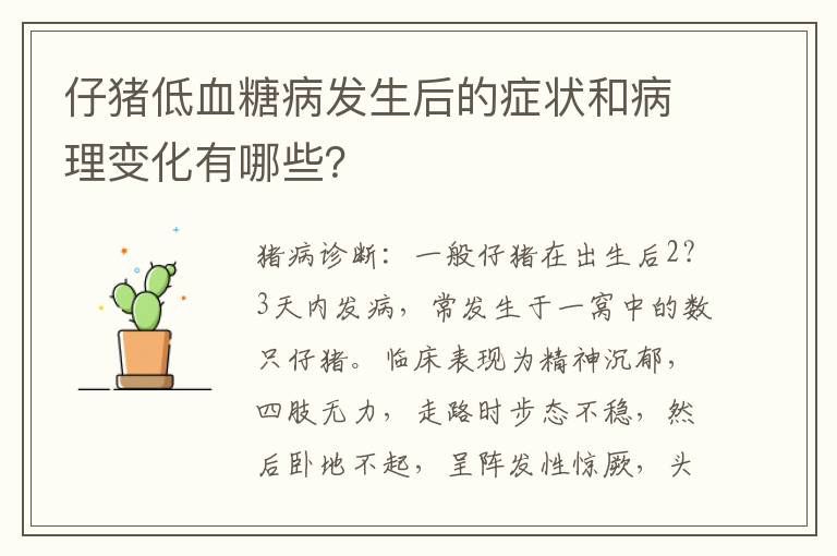 仔猪低血糖病发生后的症状和病理变化有哪些？