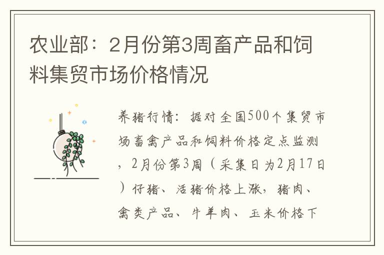 农业部：2月份第3周畜产品和饲料集贸市场价格情况