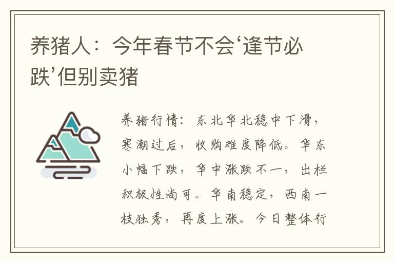 养猪人：今年春节不会‘逢节必跌’但别卖猪