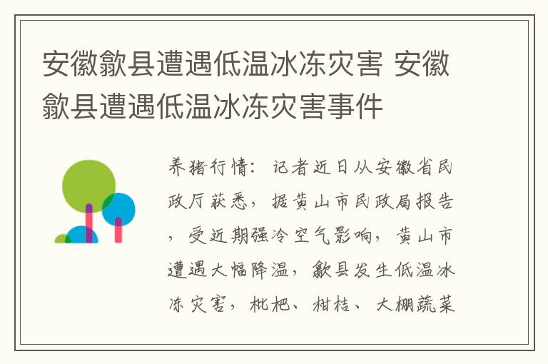 安徽歙县遭遇低温冰冻灾害 安徽歙县遭遇低温冰冻灾害事件