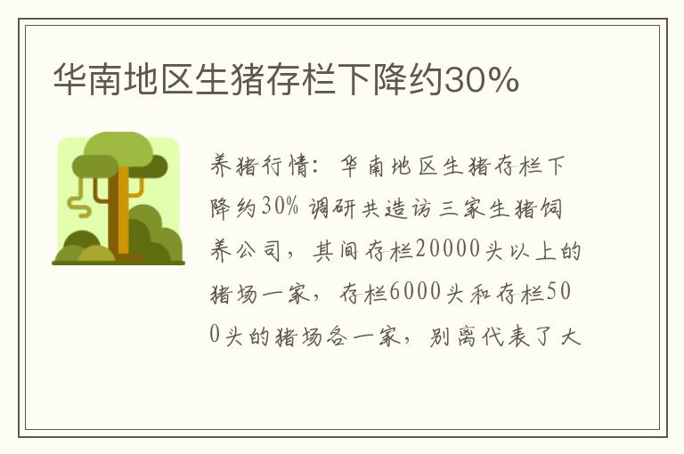 华南地区生猪存栏下降约30%
