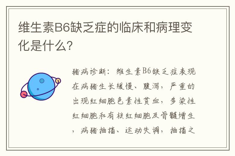 维生素B6缺乏症的临床和病理变化是什么？